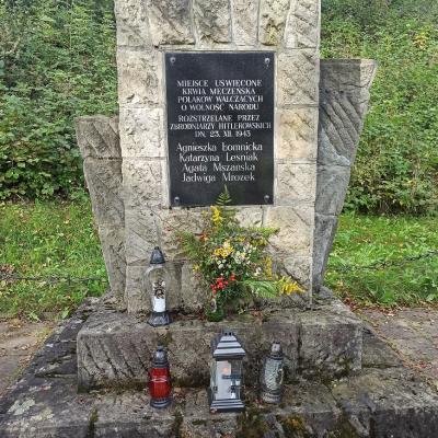 apel poległych - pomnik na łomnickiem.jpg