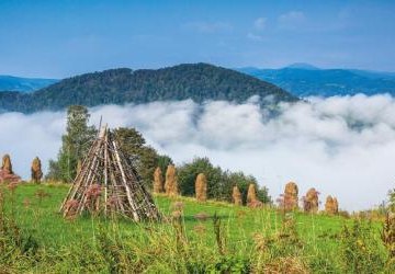 Młodzieżowy Dom Kultury „Dom Harcerza” w Krakowie - warsztaty artystyczne