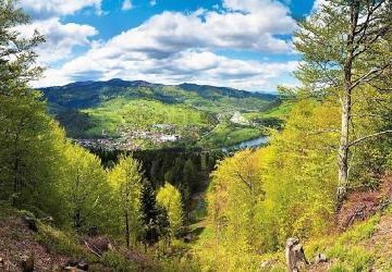 Szkoła Podstawowa nr 7 w Krakowie,  klasa VIII a