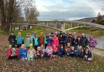 Szkoła Podstawowa nr 14 w Krakowie, klasy: II c, II d