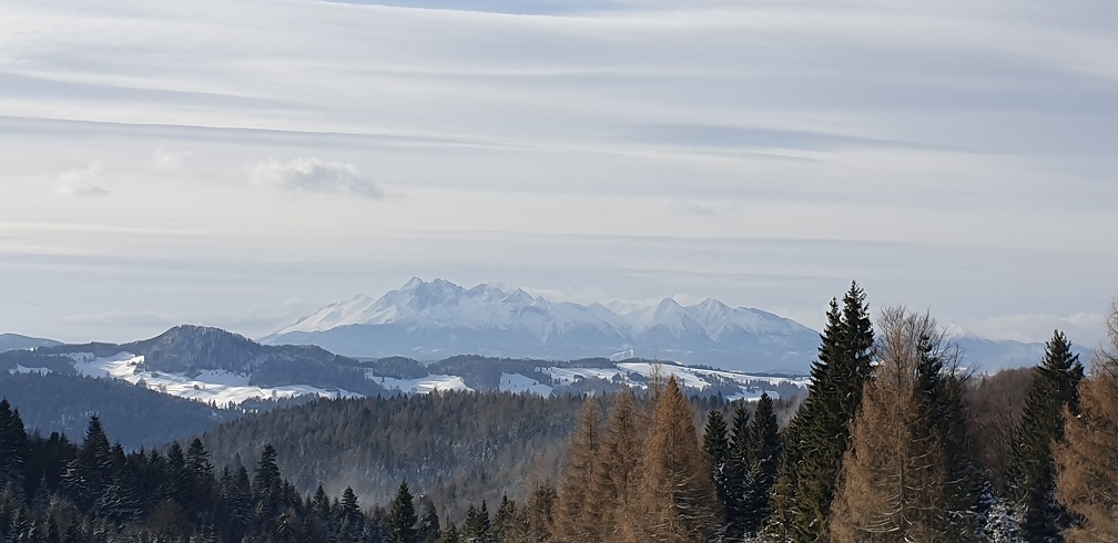Szkoła Podstawowa nr 47 w Krakowie, klasa V a