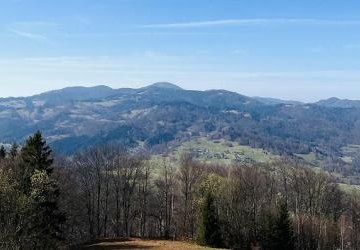 Szkoła Podstawowa nr 47 w Krakowie, klasy: VI e, VII d