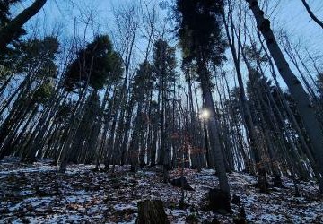 Szkoła Podstawowa nr 3 w Nowym Sączu, klasy: V a, V b