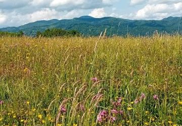Szkoła Podstawowa  w Waśniowie, klasy: V - VIII