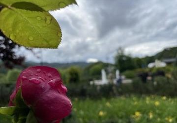 Szkoła Podstawowa  nr 8 w Trzebini, klasa III a