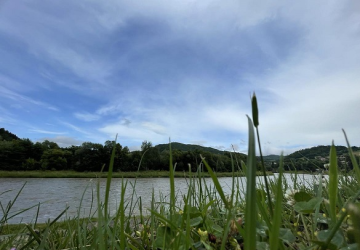 Szkoła Podstawowa w Szwagrowie, klasy: IV - VIII