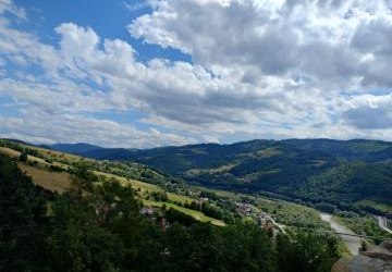 Zajęcie wykonała Zuzanna B.